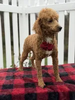 processed/949b013f-0bcf-4eb7-8242-1d54f658f7e3/listing/4ed36ab5-b03b-49e4-a4bc-c6bd866bb4d0/7a3ef6a3-8b40-4238-9d90-ad126ddbc51e