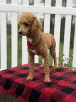 processed/949b013f-0bcf-4eb7-8242-1d54f658f7e3/listing/4ed36ab5-b03b-49e4-a4bc-c6bd866bb4d0/88992914-62c2-4e8c-b8dc-dea850a38080