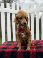 processed/949b013f-0bcf-4eb7-8242-1d54f658f7e3/listing/4ed36ab5-b03b-49e4-a4bc-c6bd866bb4d0/ae036bf2-9168-48e1-a774-0634944cc2ca