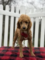 processed/949b013f-0bcf-4eb7-8242-1d54f658f7e3/listing/4ed36ab5-b03b-49e4-a4bc-c6bd866bb4d0/c8177760-6273-4cd2-90f6-ce5090abfa7f