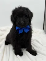 processed/949b013f-0bcf-4eb7-8242-1d54f658f7e3/listing/727999cd-4547-4aba-9bd5-5986ab37e821/217781c9-4195-4346-a4e6-ef880fa26305