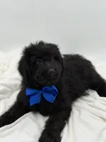 processed/949b013f-0bcf-4eb7-8242-1d54f658f7e3/listing/727999cd-4547-4aba-9bd5-5986ab37e821/32cf1c1a-cc00-4718-a4c4-c1e769c566b9