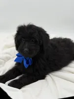 processed/949b013f-0bcf-4eb7-8242-1d54f658f7e3/listing/727999cd-4547-4aba-9bd5-5986ab37e821/46f4cdbf-847c-4993-aac0-2ec5c12f69a3