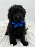 processed/949b013f-0bcf-4eb7-8242-1d54f658f7e3/listing/727999cd-4547-4aba-9bd5-5986ab37e821/9233d660-b131-4ccf-b926-2d30e64d78e1