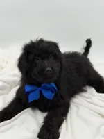 processed/949b013f-0bcf-4eb7-8242-1d54f658f7e3/listing/727999cd-4547-4aba-9bd5-5986ab37e821/acf15734-5774-4ad4-b3cd-0c89174a59fc