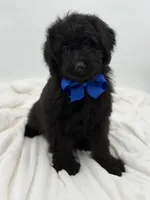 processed/949b013f-0bcf-4eb7-8242-1d54f658f7e3/listing/727999cd-4547-4aba-9bd5-5986ab37e821/af0d1fe5-2525-40b4-b2b1-74ca8fa16d19