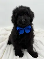 processed/949b013f-0bcf-4eb7-8242-1d54f658f7e3/listing/727999cd-4547-4aba-9bd5-5986ab37e821/dc47a6d2-d763-433e-b9cf-824c9fb65202