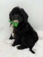 processed/949b013f-0bcf-4eb7-8242-1d54f658f7e3/listing/9b256822-7aa9-4ec9-bcf4-7ff1839d2113/162c1056-d749-43a2-9f92-69fe72a828ad