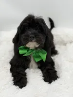 processed/949b013f-0bcf-4eb7-8242-1d54f658f7e3/listing/9b256822-7aa9-4ec9-bcf4-7ff1839d2113/1cc219cb-2e25-49ee-a44d-45f07fb125ab