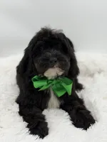 processed/949b013f-0bcf-4eb7-8242-1d54f658f7e3/listing/9b256822-7aa9-4ec9-bcf4-7ff1839d2113/1f82b15c-e634-4ae7-9d4f-5483fda59fa3