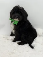 processed/949b013f-0bcf-4eb7-8242-1d54f658f7e3/listing/9b256822-7aa9-4ec9-bcf4-7ff1839d2113/59f28362-a665-4952-9f72-f20b762bffc3