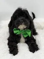 processed/949b013f-0bcf-4eb7-8242-1d54f658f7e3/listing/9b256822-7aa9-4ec9-bcf4-7ff1839d2113/9b75d999-20b9-487f-bc0b-3280eabfc578