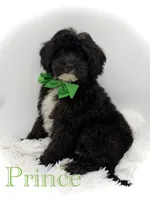 processed/949b013f-0bcf-4eb7-8242-1d54f658f7e3/listing/9b256822-7aa9-4ec9-bcf4-7ff1839d2113/d841e3a0-29ef-4d87-bb7c-0faa83d5f8c4