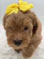 processed/949b013f-0bcf-4eb7-8242-1d54f658f7e3/listing/bee200ab-f7b1-46eb-8a44-5f6f367afc25/2b98d9af-267c-44f5-a244-2f2ba4d7c629