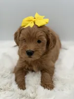 processed/949b013f-0bcf-4eb7-8242-1d54f658f7e3/listing/bee200ab-f7b1-46eb-8a44-5f6f367afc25/77e2900c-8217-4197-ad64-504fce795906