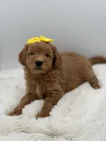 processed/949b013f-0bcf-4eb7-8242-1d54f658f7e3/listing/bee200ab-f7b1-46eb-8a44-5f6f367afc25/902757c3-f5ab-4be1-909f-ca3c10deda5e