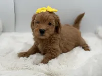 processed/949b013f-0bcf-4eb7-8242-1d54f658f7e3/listing/bee200ab-f7b1-46eb-8a44-5f6f367afc25/a73c7b32-2952-4090-93de-8f9ba965196c