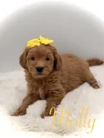 processed/949b013f-0bcf-4eb7-8242-1d54f658f7e3/listing/bee200ab-f7b1-46eb-8a44-5f6f367afc25/bbd485c1-c685-420c-94e3-d6120597b184