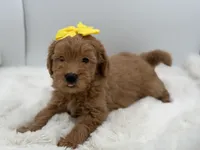 processed/949b013f-0bcf-4eb7-8242-1d54f658f7e3/listing/bee200ab-f7b1-46eb-8a44-5f6f367afc25/d5faa854-1907-4856-a9f7-6ff431af6467