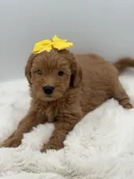 processed/949b013f-0bcf-4eb7-8242-1d54f658f7e3/listing/bee200ab-f7b1-46eb-8a44-5f6f367afc25/f419acde-ccf4-414b-b104-d70fe4182be0