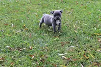 processed/949dee60-2e84-4274-a936-33e6956fa139/listing/319aa730-0460-482b-aee1-d331ffb71186/13da080c-0604-4fa7-be15-ec849d043b6a