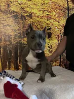 processed/949dee60-2e84-4274-a936-33e6956fa139/listing/319aa730-0460-482b-aee1-d331ffb71186/bc9d1d75-07d5-47ee-a0e1-cee1348e5f6a