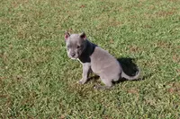 processed/949dee60-2e84-4274-a936-33e6956fa139/listing/319aa730-0460-482b-aee1-d331ffb71186/d7893ed0-007a-4ddf-82a7-fff0a5ed791e