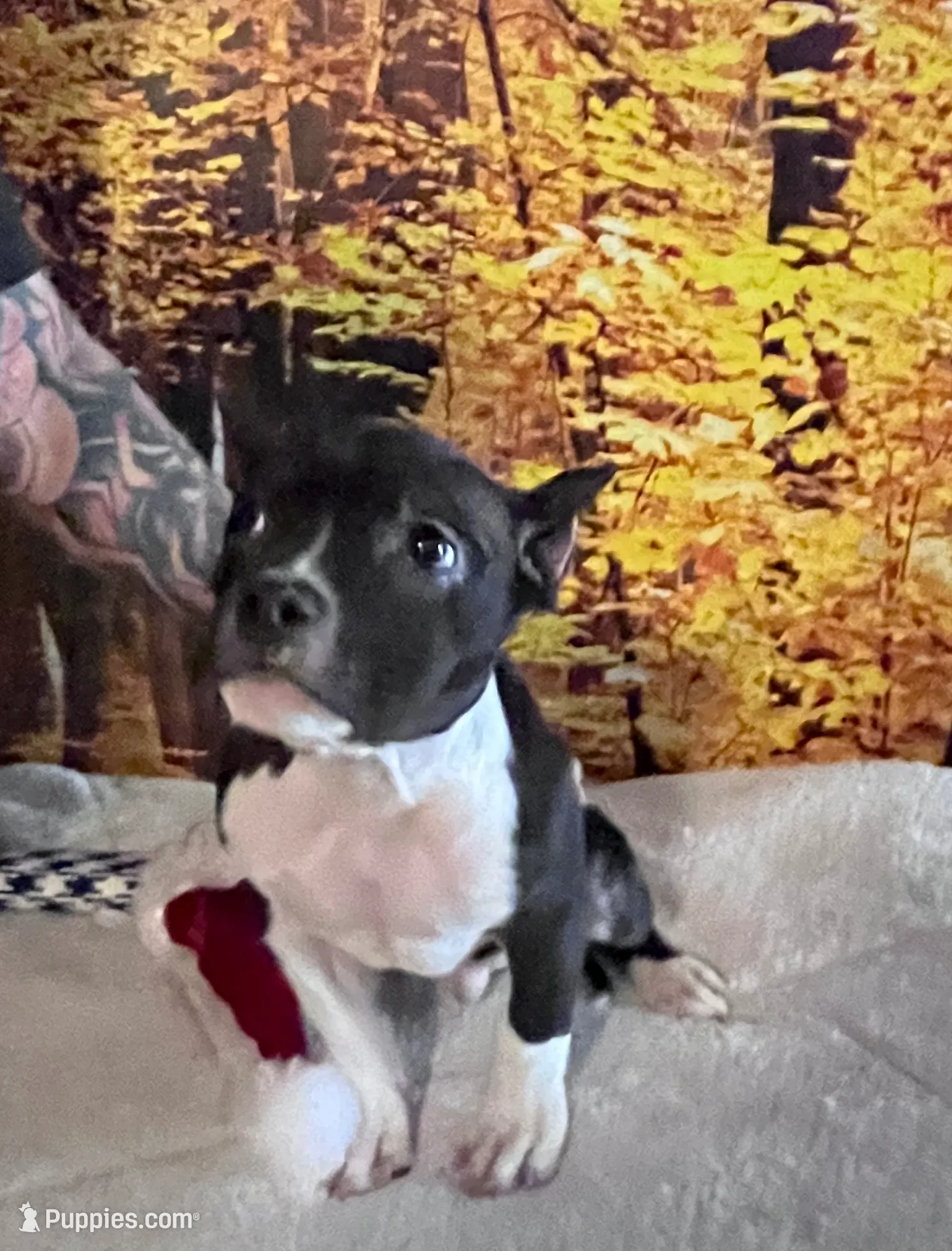 processed/949dee60-2e84-4274-a936-33e6956fa139/listing/50909c05-7855-4cb1-abca-258579873ca0/015a6ca9-513b-4c83-856d-4e043255c663