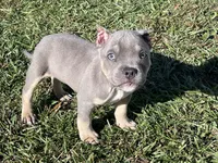 processed/949dee60-2e84-4274-a936-33e6956fa139/listing/8216e64d-4f02-48a4-bd51-e2e3b7f6a1e3/5f565133-40c3-4b32-a7f7-5b33314ae952