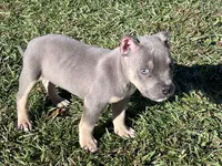 processed/949dee60-2e84-4274-a936-33e6956fa139/listing/8216e64d-4f02-48a4-bd51-e2e3b7f6a1e3/7934b0d8-e3c9-423e-b578-338be9014936