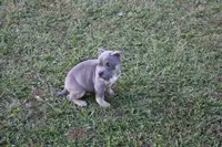 processed/949dee60-2e84-4274-a936-33e6956fa139/listing/8216e64d-4f02-48a4-bd51-e2e3b7f6a1e3/b91e063f-4207-4262-85c4-e1d677311ecb