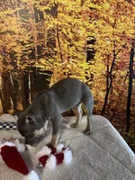 processed/949dee60-2e84-4274-a936-33e6956fa139/listing/8216e64d-4f02-48a4-bd51-e2e3b7f6a1e3/e6b7716a-4da6-4e55-9c3b-8cc9d4962ec6