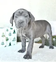 processed/94a734cc-13b5-4262-9e5b-8eb3559fb18f/listing/66d9fc61-9f86-4303-8a57-95e5a21b78cc/12be31af-6dee-4d40-9e1e-1a3526fcb6ec