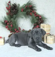 processed/94a734cc-13b5-4262-9e5b-8eb3559fb18f/listing/66d9fc61-9f86-4303-8a57-95e5a21b78cc/204e2426-62c5-48af-99d4-905682138aaa