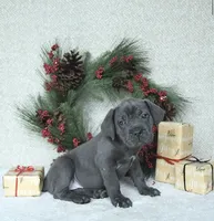 processed/94a734cc-13b5-4262-9e5b-8eb3559fb18f/listing/66d9fc61-9f86-4303-8a57-95e5a21b78cc/31b880ff-8cf3-4c0c-8677-d2b7366096a3