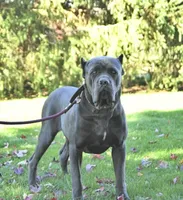 processed/94a734cc-13b5-4262-9e5b-8eb3559fb18f/listing/66d9fc61-9f86-4303-8a57-95e5a21b78cc/31e3600b-24a8-4d81-82c5-b8d304f08249