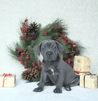 processed/94a734cc-13b5-4262-9e5b-8eb3559fb18f/listing/66d9fc61-9f86-4303-8a57-95e5a21b78cc/92f13f4f-ae76-4869-b242-ac0ce4a5df2e