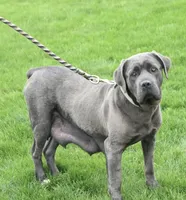 processed/94a734cc-13b5-4262-9e5b-8eb3559fb18f/listing/66d9fc61-9f86-4303-8a57-95e5a21b78cc/994b01a8-6868-450b-8254-fb598d322a38