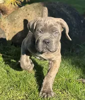 processed/94a85c7a-861c-4689-aa9a-a25a5ead2d4f/listing/d203c33a-a97b-4dd2-b4ed-f09a8389a465/30bff788-4d11-413f-9373-8d5ee3b95ed4