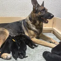 processed/94bd23b8-3792-43cb-bf5a-9c8d75c6e84b/facility/0d674025-94de-4ea4-bc45-eea76ccc6f4d