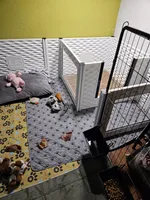 processed/94bd23b8-3792-43cb-bf5a-9c8d75c6e84b/facility/78f34af4-3fe6-482a-81f7-3fcec6fbf546