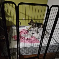 processed/94bd23b8-3792-43cb-bf5a-9c8d75c6e84b/facility/85c755f3-2e83-432e-951c-f95c5a7aab3c