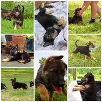 processed/94bd23b8-3792-43cb-bf5a-9c8d75c6e84b/facility/8853dfec-96e7-4899-9ab9-de58b90b37c6