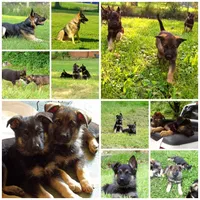 processed/94bd23b8-3792-43cb-bf5a-9c8d75c6e84b/facility/a787da9e-678a-4292-8304-dbdc30888746