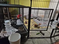 processed/94bd23b8-3792-43cb-bf5a-9c8d75c6e84b/facility/e4832b06-3021-4edc-ad22-21ac7369999c