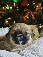 processed/94c8d9bb-b430-41c7-b6e8-21ce19819614/facility/eedbe9ca-3a39-419b-b02f-50c0997e60c3