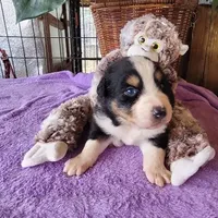 processed/94d0c0d8-bc39-453d-a54d-e983d42f8ff4/facility/9af49eb5-a7b3-4129-953c-6c651609a0c4