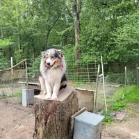 processed/94d0c0d8-bc39-453d-a54d-e983d42f8ff4/facility/b88be7d1-e576-4b04-b88e-91d7ed7b30d8