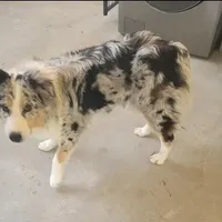 processed/94d0c0d8-bc39-453d-a54d-e983d42f8ff4/facility/bbba69da-174b-48f7-94ab-4ccc001dba06