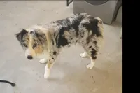 processed/94d0c0d8-bc39-453d-a54d-e983d42f8ff4/facility/bbba69da-174b-48f7-94ab-4ccc001dba06